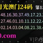 154期精准24码九成把握