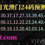 163期澳门精准24码免费心水