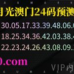 164期精准24码澳门白月光内部号码