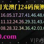 165期澳门白月光精准24码免费心水