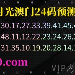 166期澳门六合精准24码白月光心水