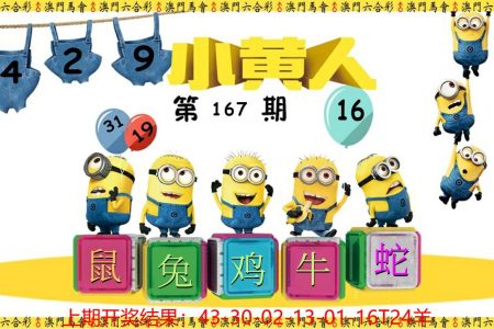 167期澳门小黄人