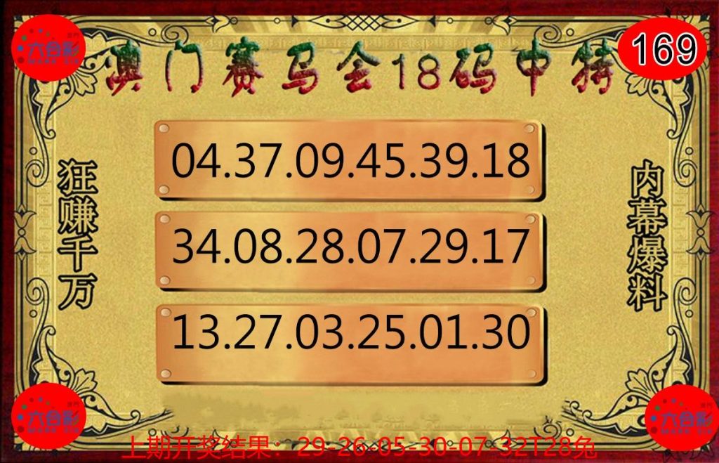 169期赛马会18码