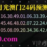 169期澳门精准24码，不中包赔
