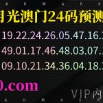 171期澳门精准24码，第三期——不中包赔