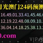 172期澳门精准24码，不中包赔