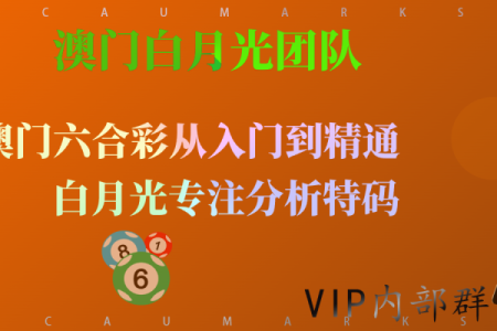 澳门特码趋势分析