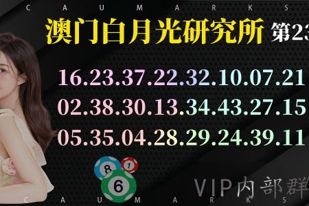 澳门特码235期